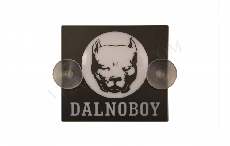 Малая светодиодная табличка "DALNOBOY"