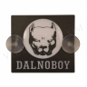 Малая светодиодная табличка "DALNOBOY"