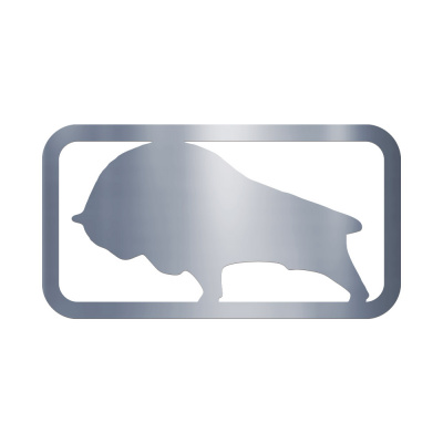 Буквы SDT (нерж.) вставка эмблема MAZ EURO (Простор) (105*205) зубр ( Подсветка  Белый)