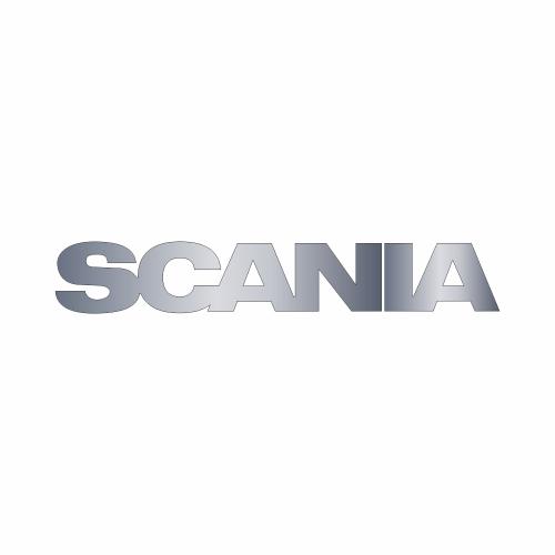 Надпись NSDT (нерж.) универсальная SCANIA (825х140)
