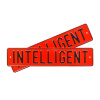 Автомобильный сувенирный номер INTELLIGENT