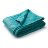Покрывало (велюр, цв.) VITA TRUCK 210х120 бирюзовое