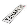 Автомобильный сувенирный номер ТАМАЛА 58
