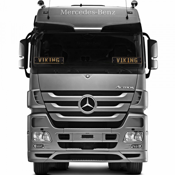 Автомобильный сувенирный номер VIKING