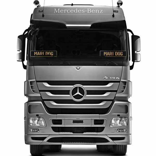 Автомобильный сувенирный номер MARI DOG