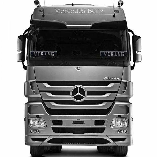 Автомобильный сувенирный номер VIKING (серебро)