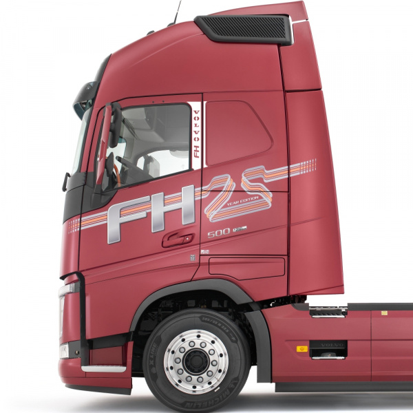 Накладки из нержавеющей стали на стойки дверей VOLVO FH4 (от 2021г.в.) NKN-01