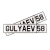Автомобильный сувенирный номер GULYAEV 58