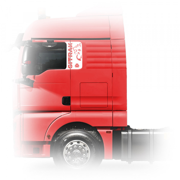 Накладки из нержавеющей стали на фальшокна №1 Sitrak C7H NKN-224