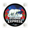 Табличка светодиодная "Лайт-бокс" (люкс) мини на лобовое стекло (№139 POLAR EXPRESS-3)