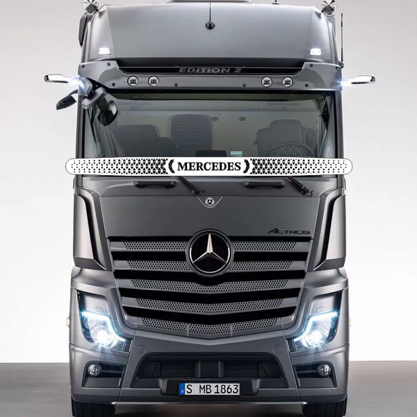 Защита лобового стекла нерж сталь MERCEDES MP4 (узк. кабина, нерж. сталь, косые углы)