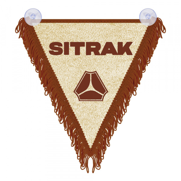 Треугольный длинный вымпел (надпись/лого)