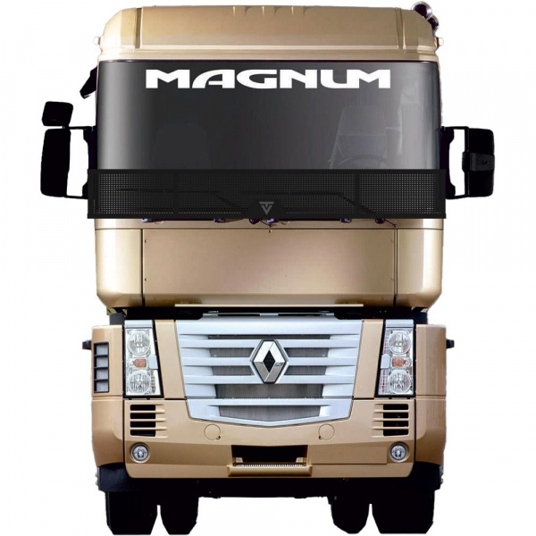 Защита лобового стекла для RENAULT MAGNUM (металл, прямые углы)